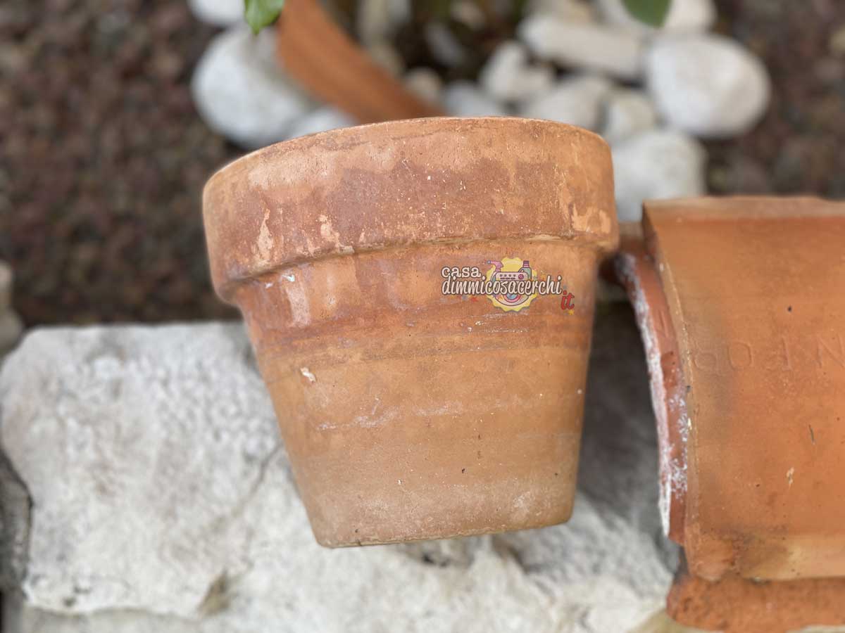 Come pulire i vasi di terracotta dal calcare? Tutte le FAQ I